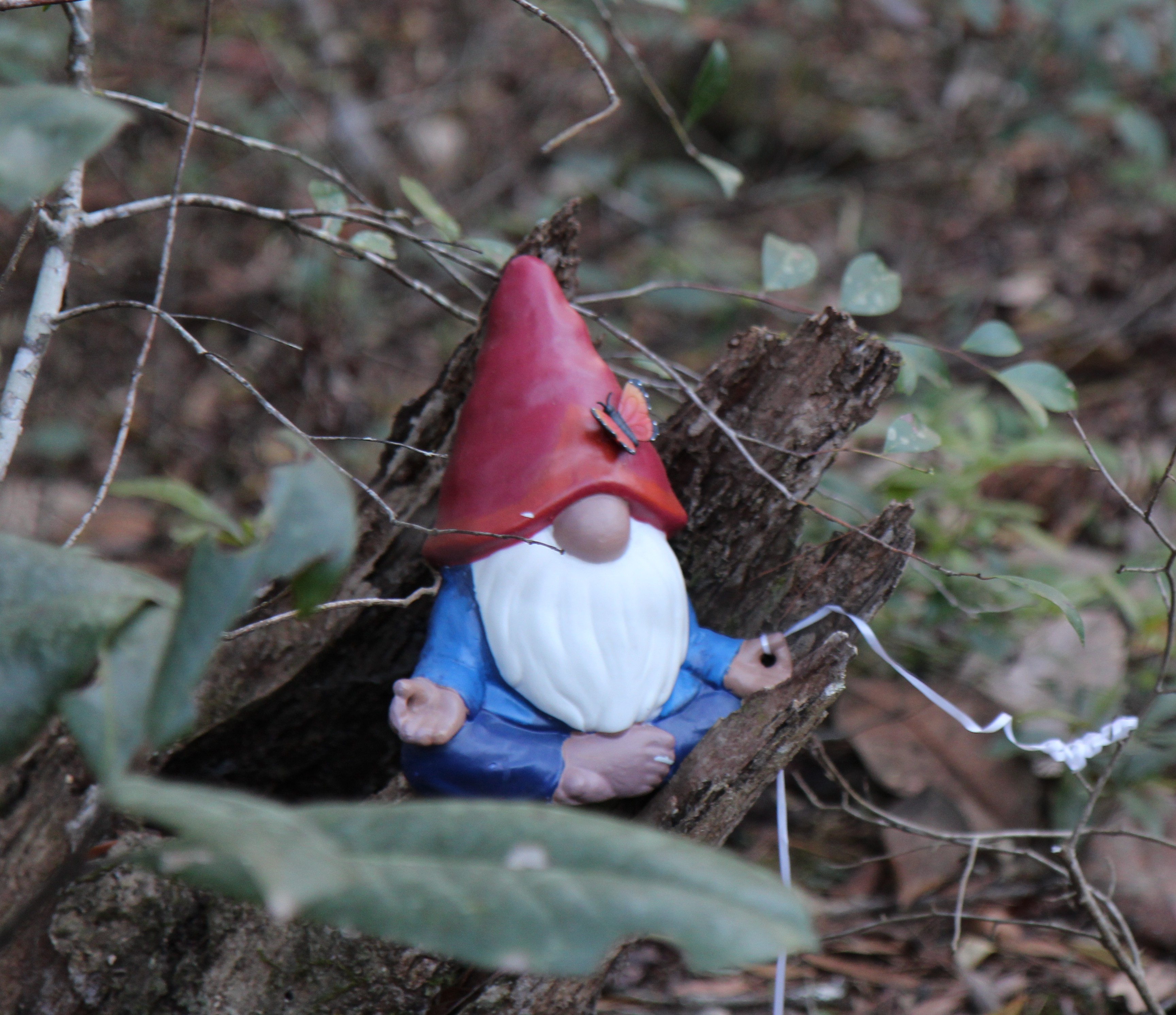 A small ceramic gnome tucked into the ferns on the property